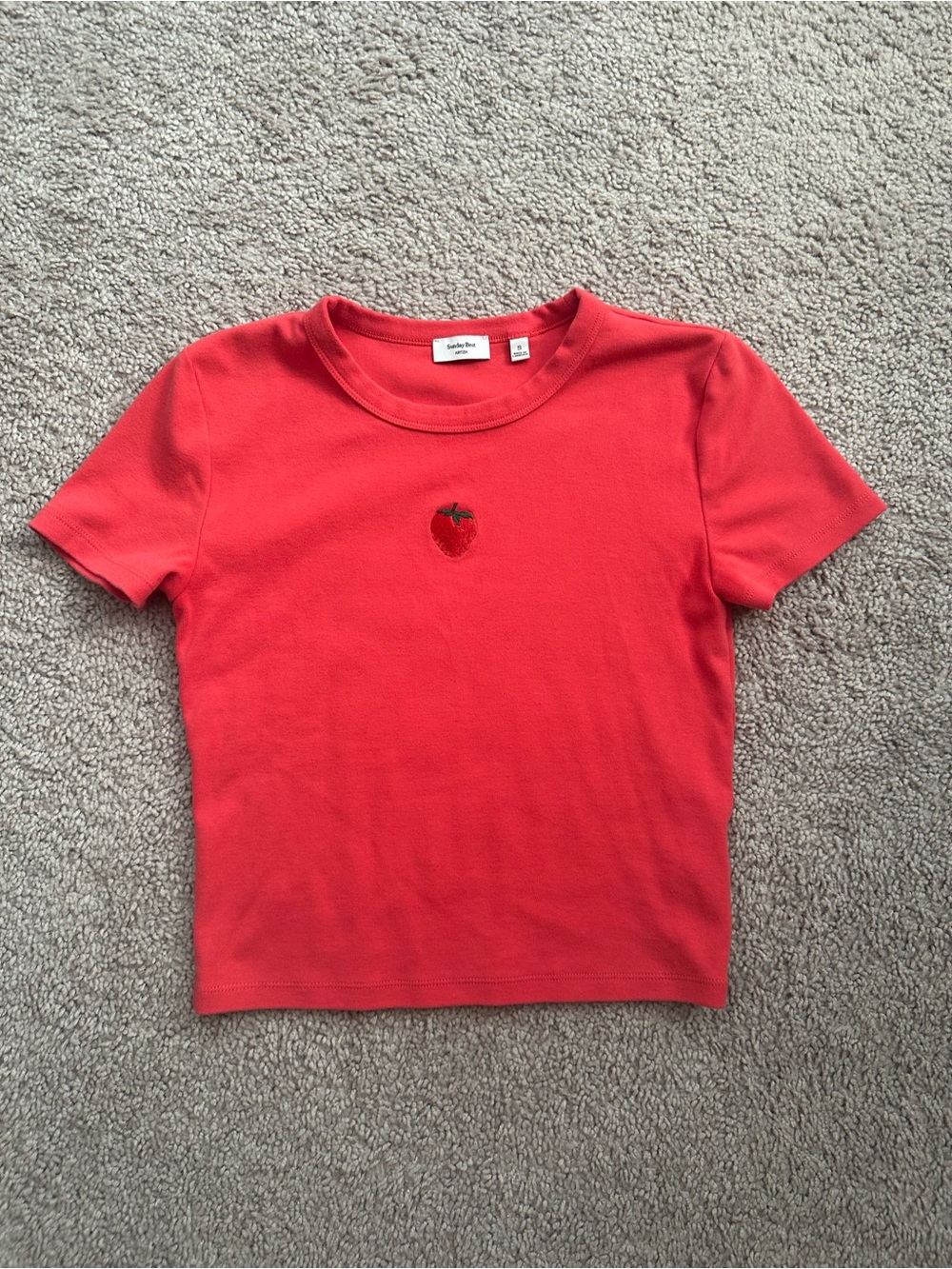 Aritzia Tee with Strawberry Embroidery